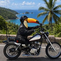 Honda Rebel 250