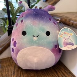 Squishmallow Daxxon Plush 8” H 