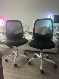 2 Matching Office Chairs