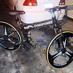 Bicicleta