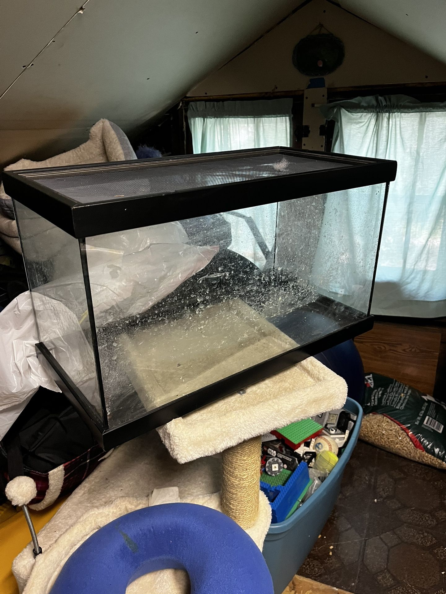 10 Gallon Tank