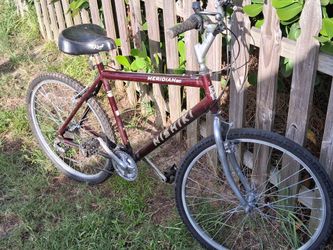 Nishiki Meridian SC Mountain Bike