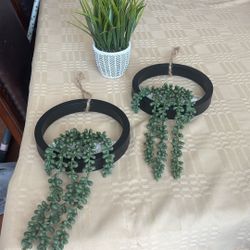 Faux Plants  Home Decor