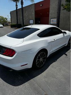 Window film automotive tints
