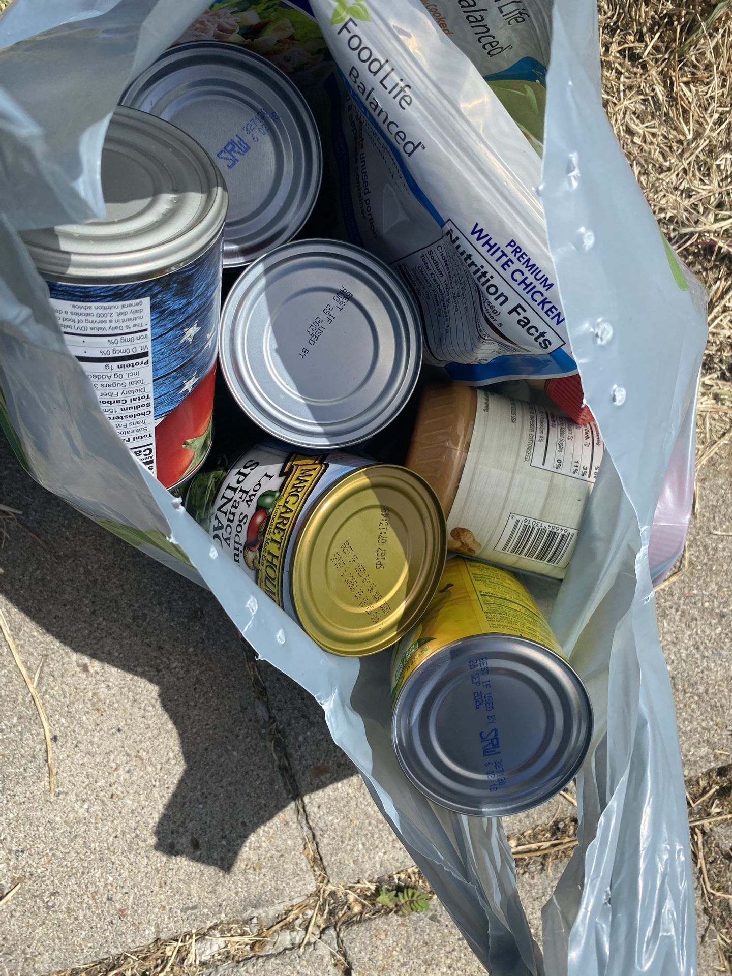 Free Can Of Food