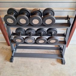 Precor Dumbbell Set With Rack.