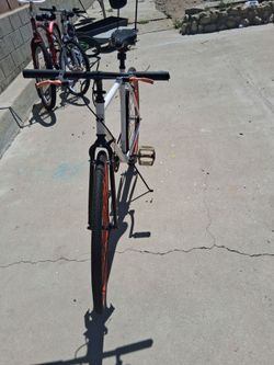 Fixie bike