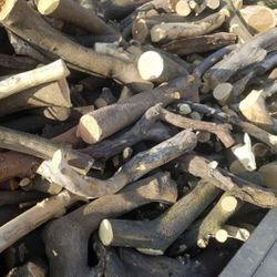 Seasoned orange Tree Firewood