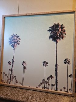 Bree Madden California Palm Trees Framed Wall Art 20" x 20"