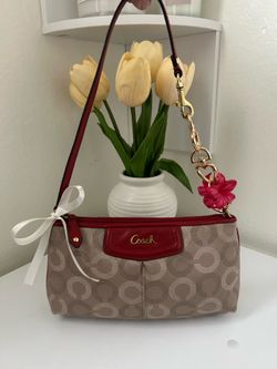Coach Signature Mini Shoulder Bag