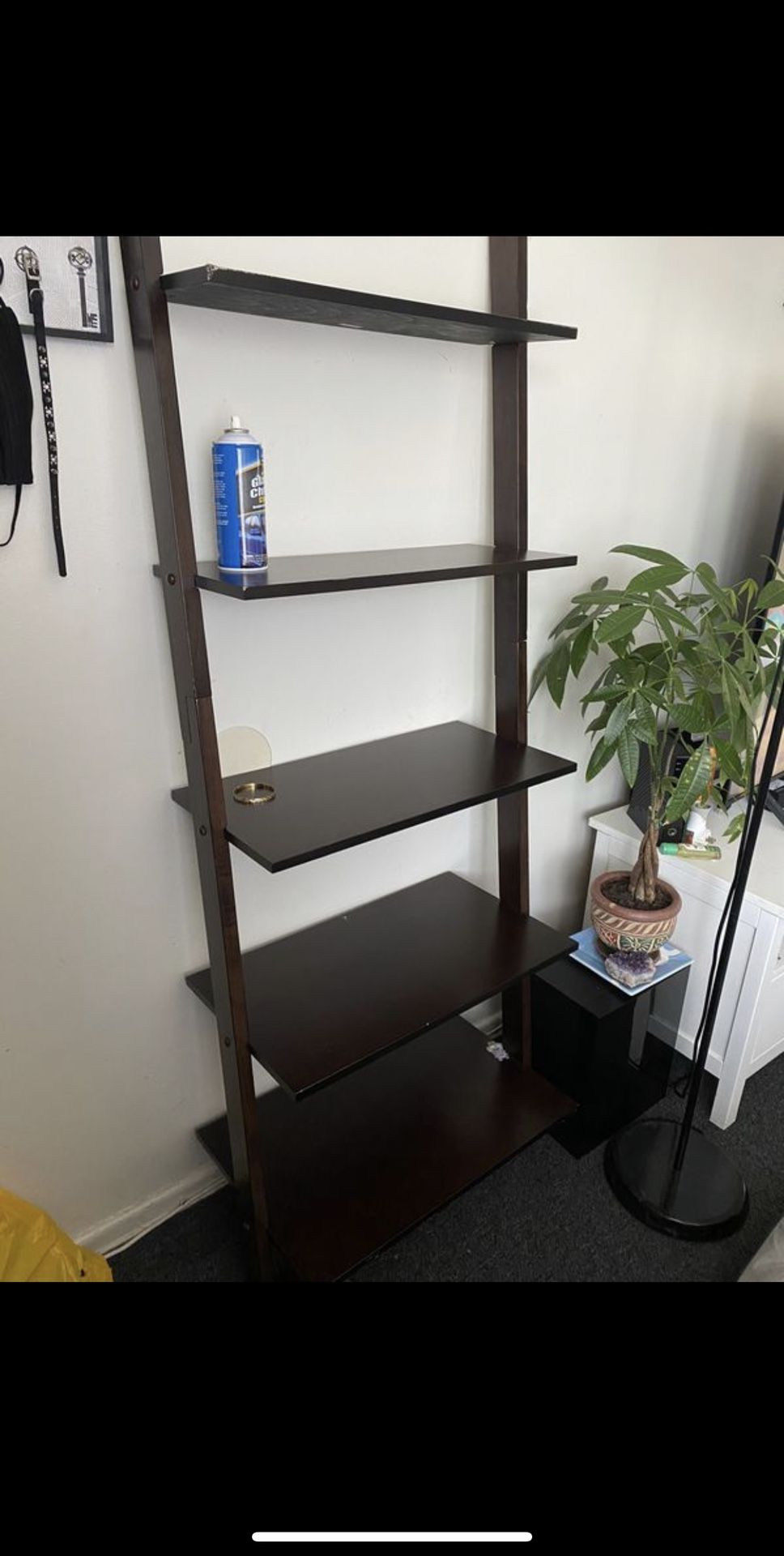 Like new ladder Shelf/organizer
