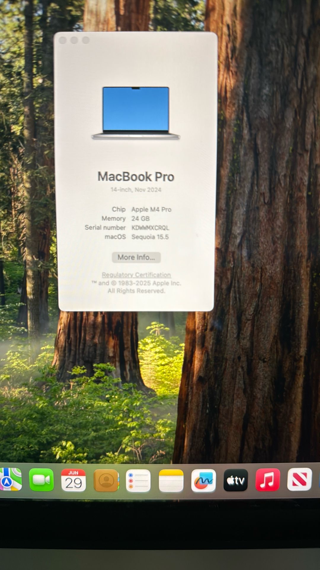 Apple MACBook Pro M4 24GB RAM, 512 Storage 50 Min Used