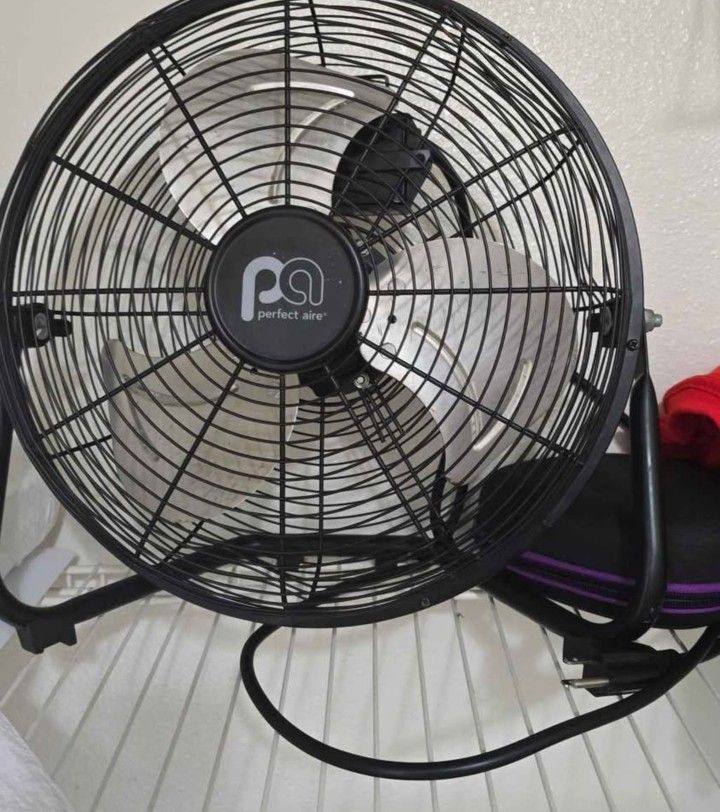 Fan