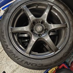 Koing Tandems and Continental Control Contact SRS+