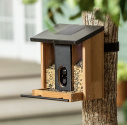 Evergreen Solar Camera Bird Feeder