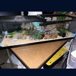 Terrarium / Lizard Tank