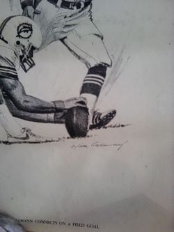 Miami Dolphins Sketches Signed