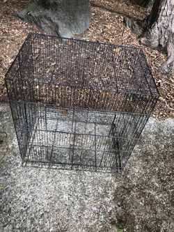 Metal animal change
