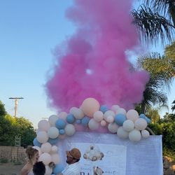 Gender Reveal 