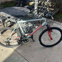 NISHIKI Pueblo Men’s Mountain Bike 
