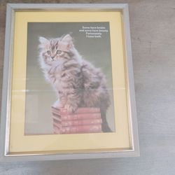 Library Cat art