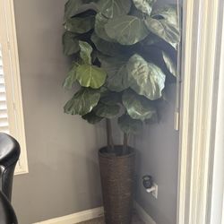 Artificial Plant 