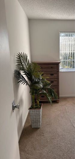 Chest of drawers and nightstand