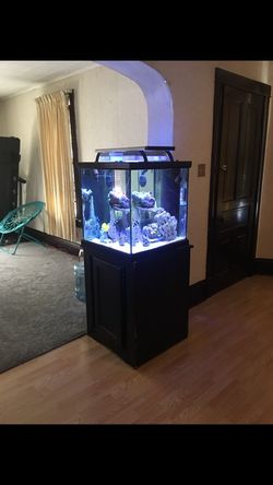 60 gallons tank & stand