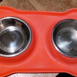 Dog Bowl 