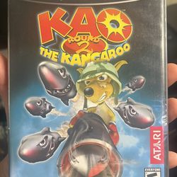 Kao The Kangaroo Round 2 - Gamecube
