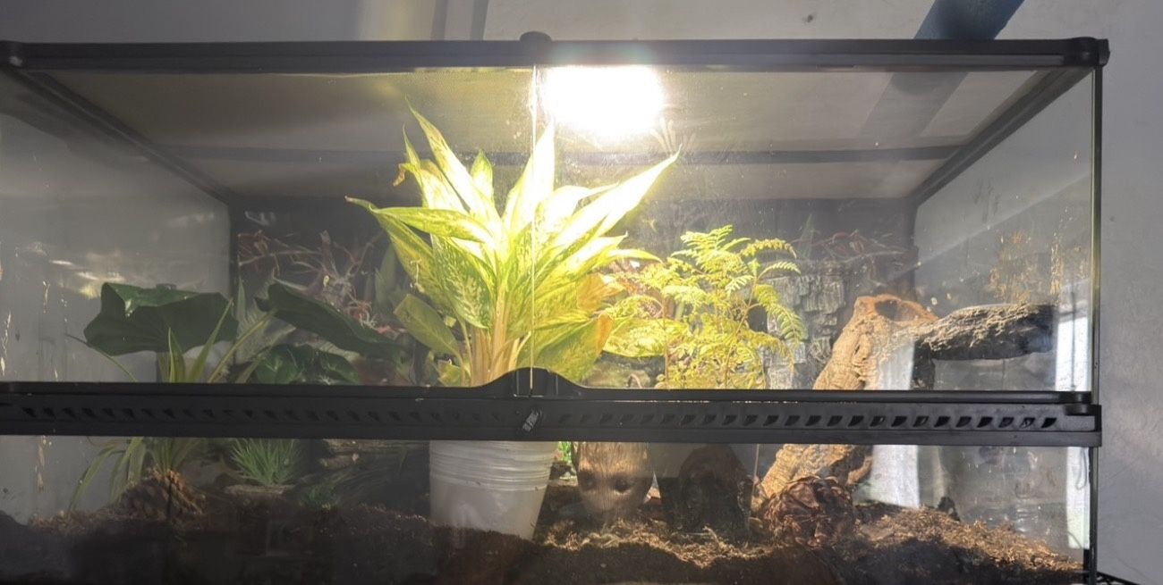 40 Gallon Tank Exotera 120$