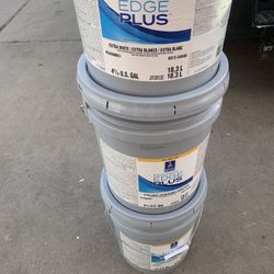 Pintura Blanca Y De Color 