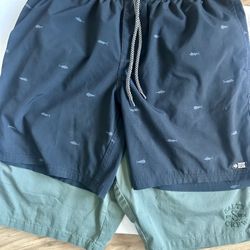 SALTY CREW shorts Lrg