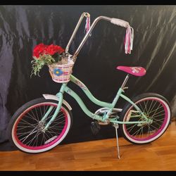 20 Inches Schwinn Bike