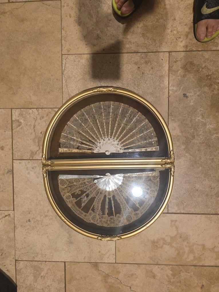 Antique Fan Oyster Shell? Shadow Boxes