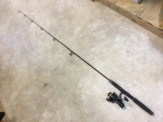 Fishing pole and Shimano reel