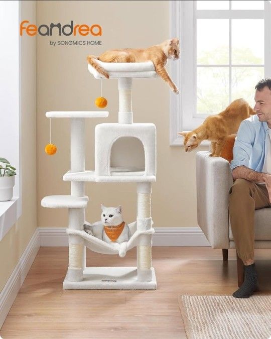 Cats, Multi-Level Cat Condo with 4 Scratching Posts,πβοΈβοΈβοΈπΈπΈπΈβ¨β¨