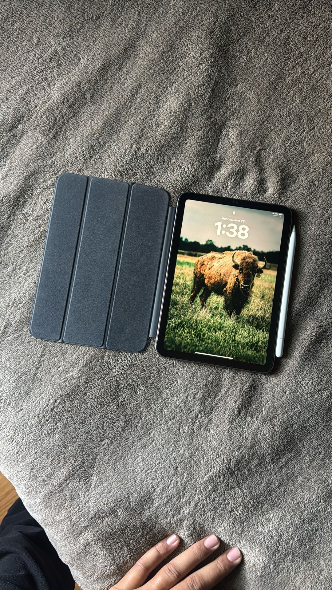 iPad mini 7 512gb