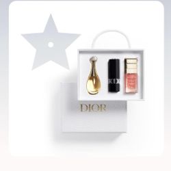 DIOR silver gift