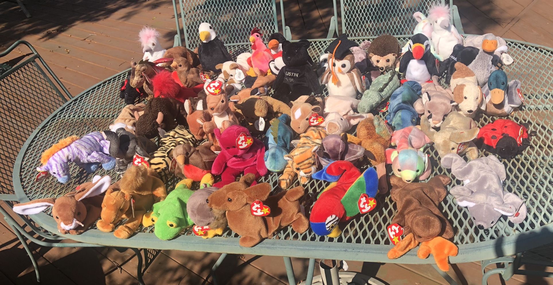 Beanie Baby Collection