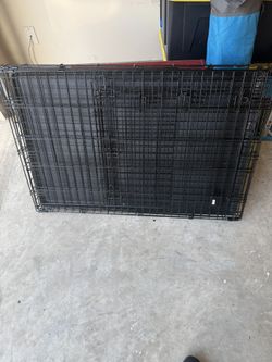 Dog Kennel