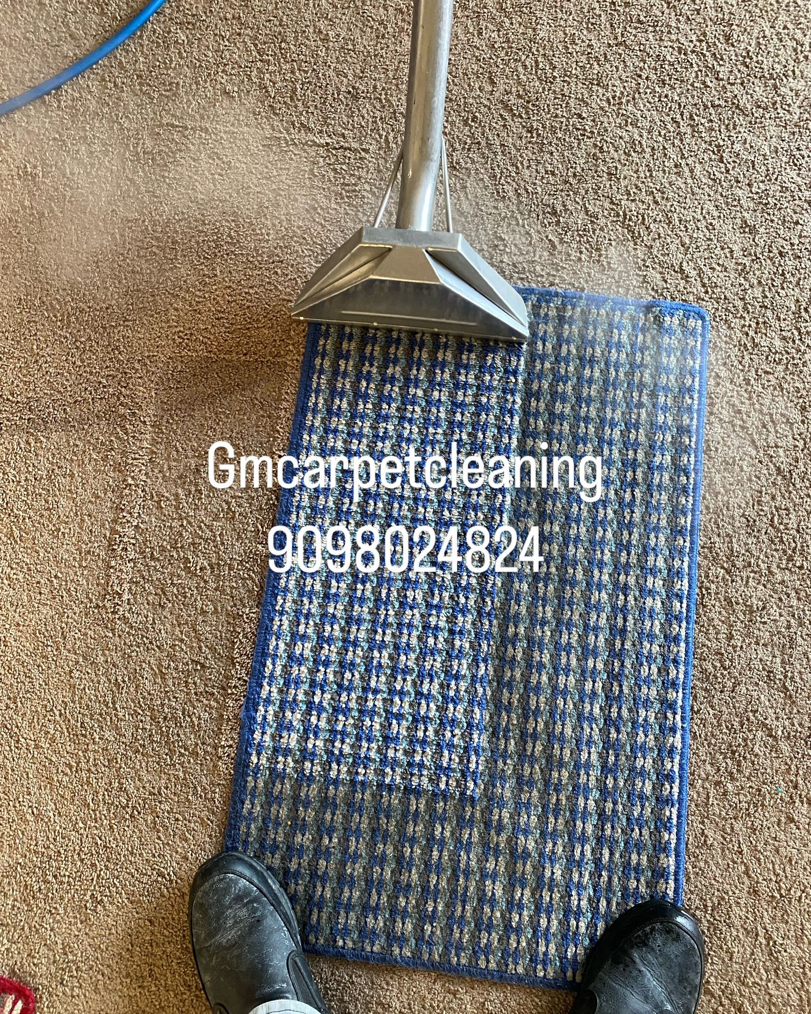 Carpet Cleaner
