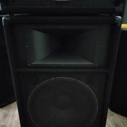Yamaha 15 Inch Full Range Speakers (Pair)