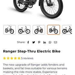 Electric Bike