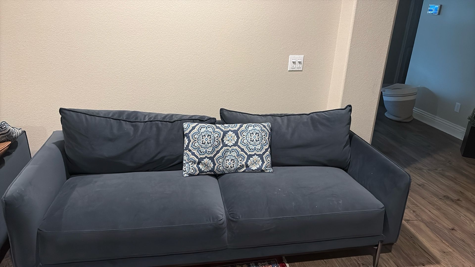 Blue Couch