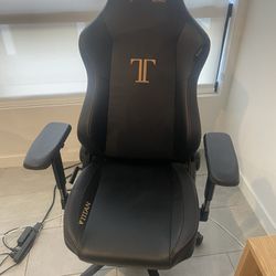 Secret Lab Titan Office & Gaming Chair