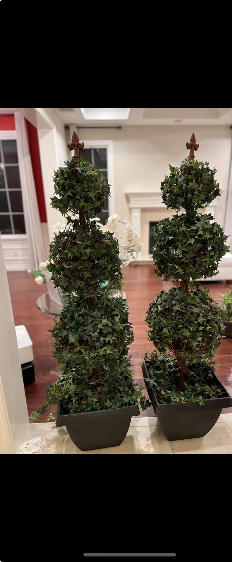 Topiary (2)