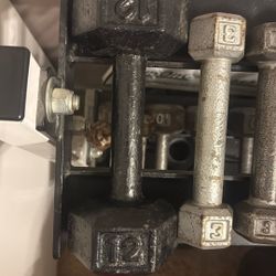 (1) Single 12 lb Dumbbell Steel iron Hex 