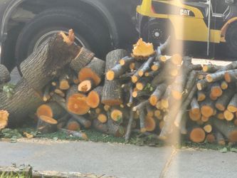 Burn wood/ cook out wood
