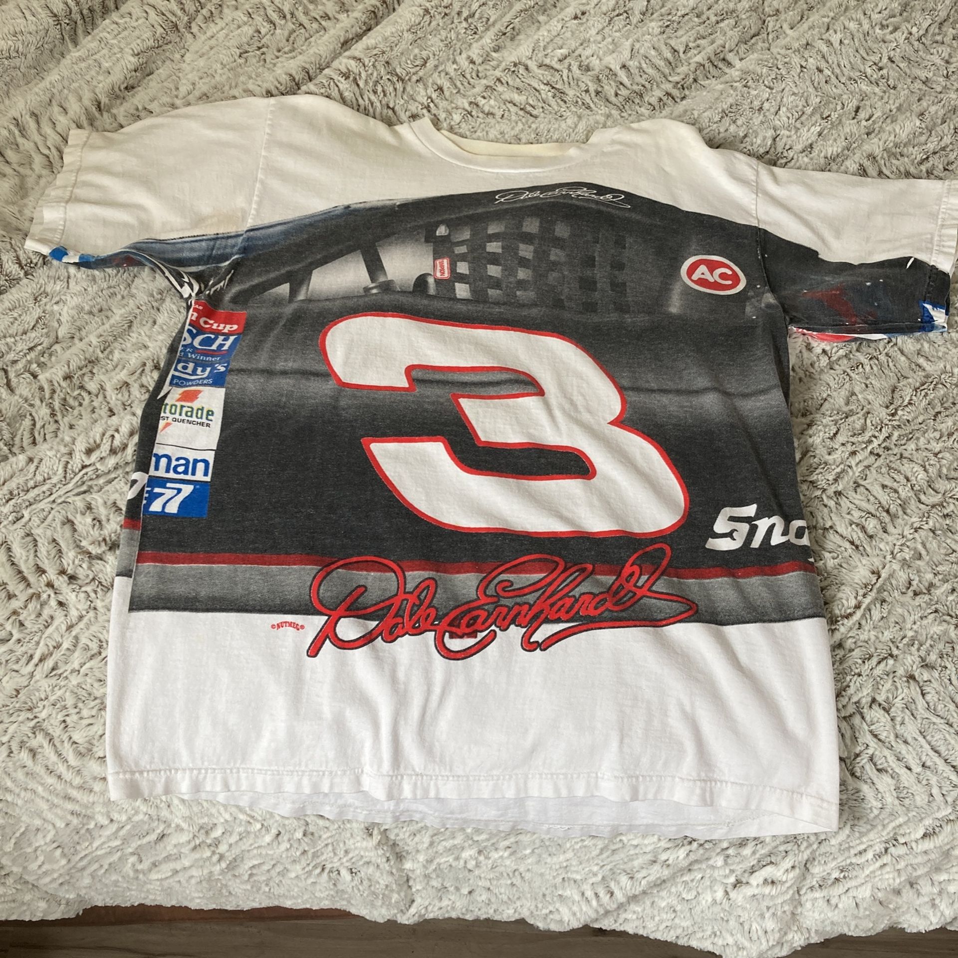 Dale Earnhardt 3